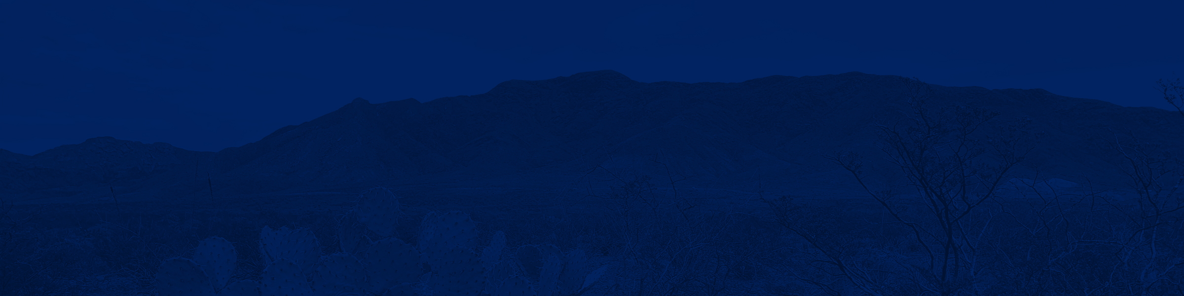 section background image